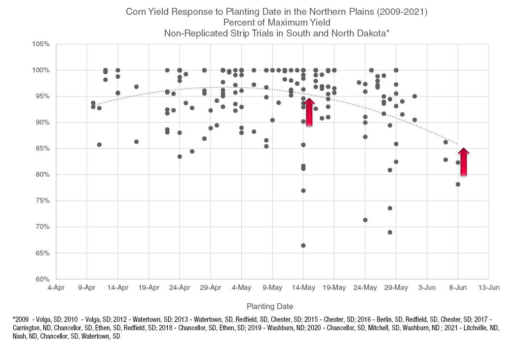 After May 15th, the potential to maximize yield decreased 0.4% per day (identified as the time between the arrows). graph image.